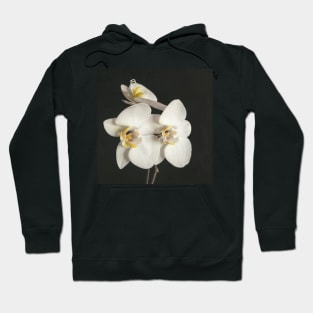 Black and White Orchid II Hoodie